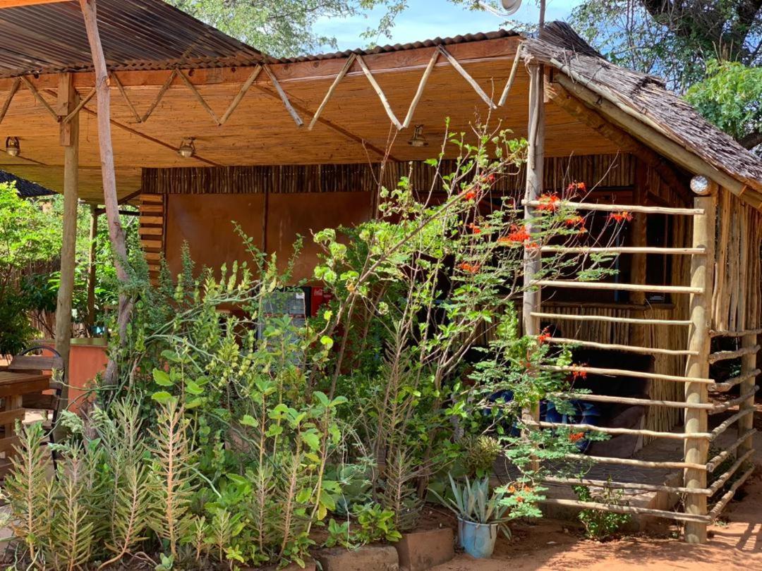 Jungle Breeze Home Stay Kasane Exterior photo